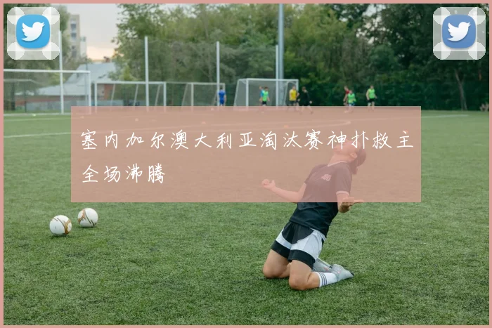 塞内加尔澳大利亚淘汰赛神扑救主全场沸腾
