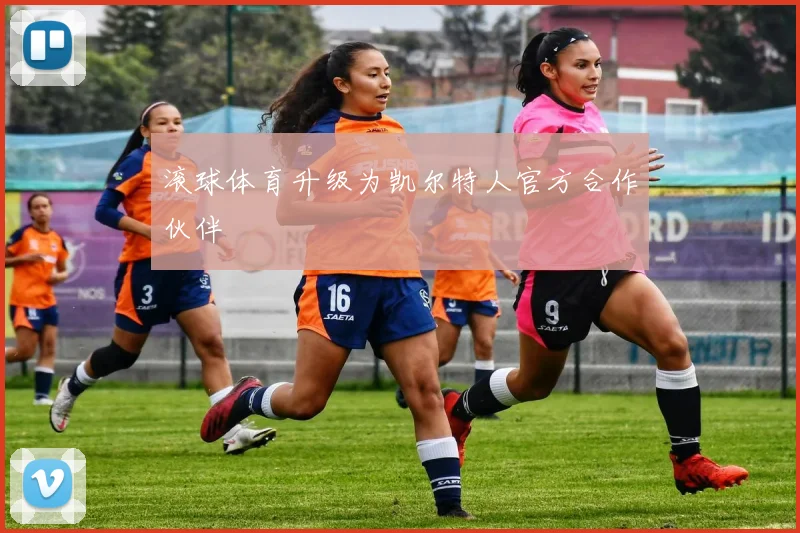 滚球体育升级为凯尔特人官方合作伙伴
