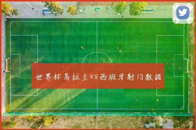世界杯乌拉圭vs西班牙射门数据
