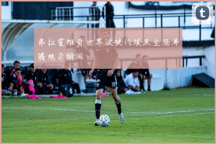 弗拉霍维奇世界波破门埃及全场沸腾绝杀瞬间