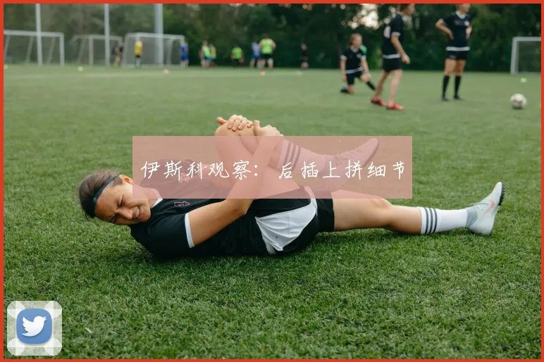 伊斯科观察：后插上拼细节